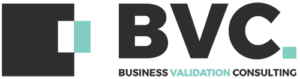 Business Validation Consulting